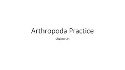 Arthropoda  Practice Chapter 24