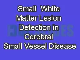 Small  White Matter Lesion Detection in Cerebral Small Vessel Disease