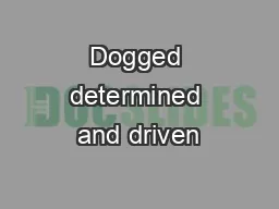 Dogged determined and driven