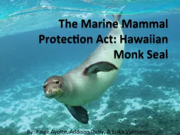 PPT-The Marine Mammal Protection Act: Hawaiian Monk Seal