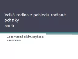 Velká rodina z pohledu rodinné politiky