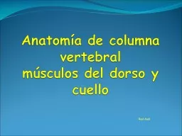 Anatomía de columna vertebral