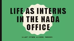 Life as Interns in the NADA office