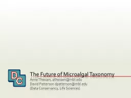 The Future of  Microalgal