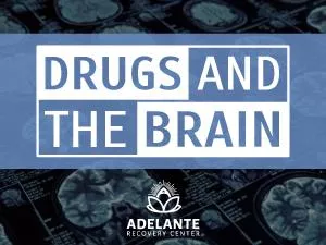 Drugs and The Brain