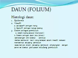 DAUN (FOLIUM) Histologi