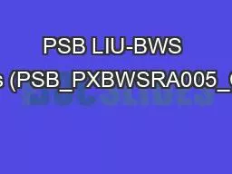 PSB LIU-BWS Beam Tests (PSB_PXBWSRA005_CR000001)