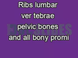 Ribs lumbar ver tebrae pelvic bones and all bony promi