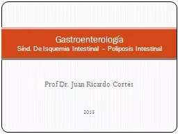 Prof  Dr. Juan Ricardo Cortés