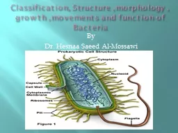 Classification, Structure