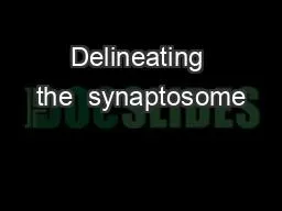 PPT-Delineating the synaptosome