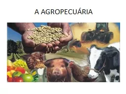 A AGROPECUÁRIA 	Agropecuária é toda a atividade   do espaço rural relacionada a agricultura