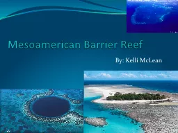 Mesoamerican Barrier Reef