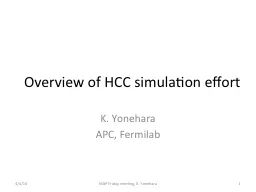 Overview of HCC simulation effort