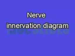 Nerve innervation diagram