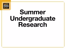 Summer Undergraduate  Research