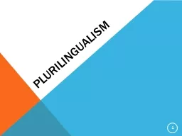 PLURILINGUALISM 1 What