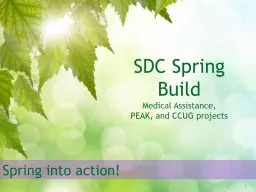 Spring into action!  SDC Spring Build