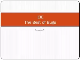 Lesson 3 EiE  The Best of Bugs