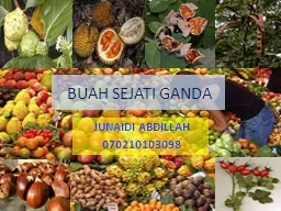 BUAH SEJATI GANDA JUNAIDI ABDILLAH