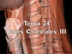 Tema 24 Pares Craneales III