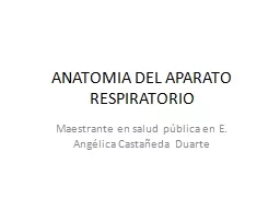 ANATOMIA DEL APARATO RESPIRATORIO