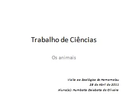 PPT-Trabalho de Ciências Os animais