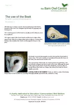 A charity dedicated to Education Conservation Bird Welfare The Barn Owl Centre Netheridge