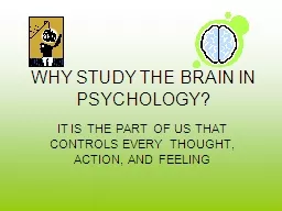 WHY STUDY THE BRAIN IN PSYCHOLOGY?