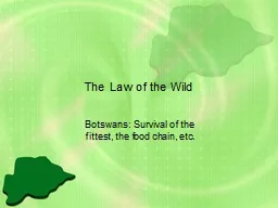 The Law of the Wild Botswans