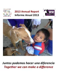 2013 Annual Report Informe