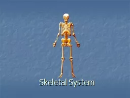 Skeletal System Skeletal Functions