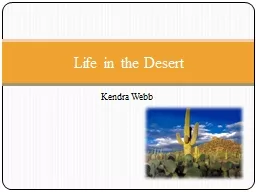 Kendra Webb Life in the Desert