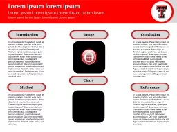 Introduction Lorem Ipsum lorem ipsum