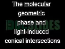 The molecular geometric phase and light-induced conical intersections