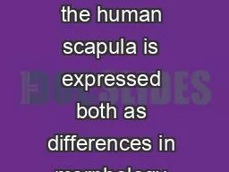 Sexual dimorphism in the human scapula is expressed both as differences in morphology