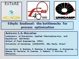 Ethylic  biodiesel:  the bottlenecks for process optimization
