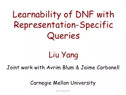 Learnability  of DNF with Representation-Specific Queries