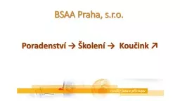 BSAA Praha, s.r.o. Poradenství