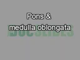 Pons & medulla oblongata