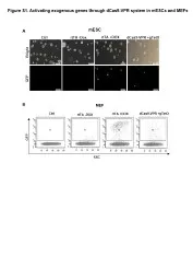 Figure S1. Activating exogenous genes through dCas9-VPR system in