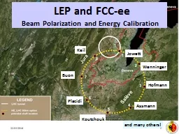 LEP and FCC- ee   Beam