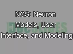 NCS: Neuron Models, User Interface, and Modeling