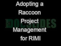 Adopting a Raccoon Project Management for RIMI