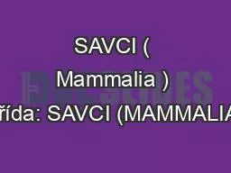 SAVCI ( Mammalia ) Třída: SAVCI (MAMMALIA)