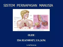 PPT-SISTEM PERNAPASAN MANUSIA