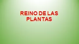 REINO DE LAS PLANTAS REINO DE LAS PLANTAS