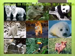 Animales   en  peligro de extinción   de la argentina