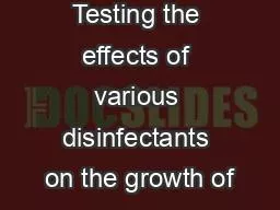 Testing the effects of various disinfectants on the growth of