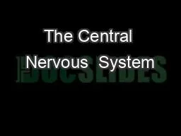The Central Nervous  System